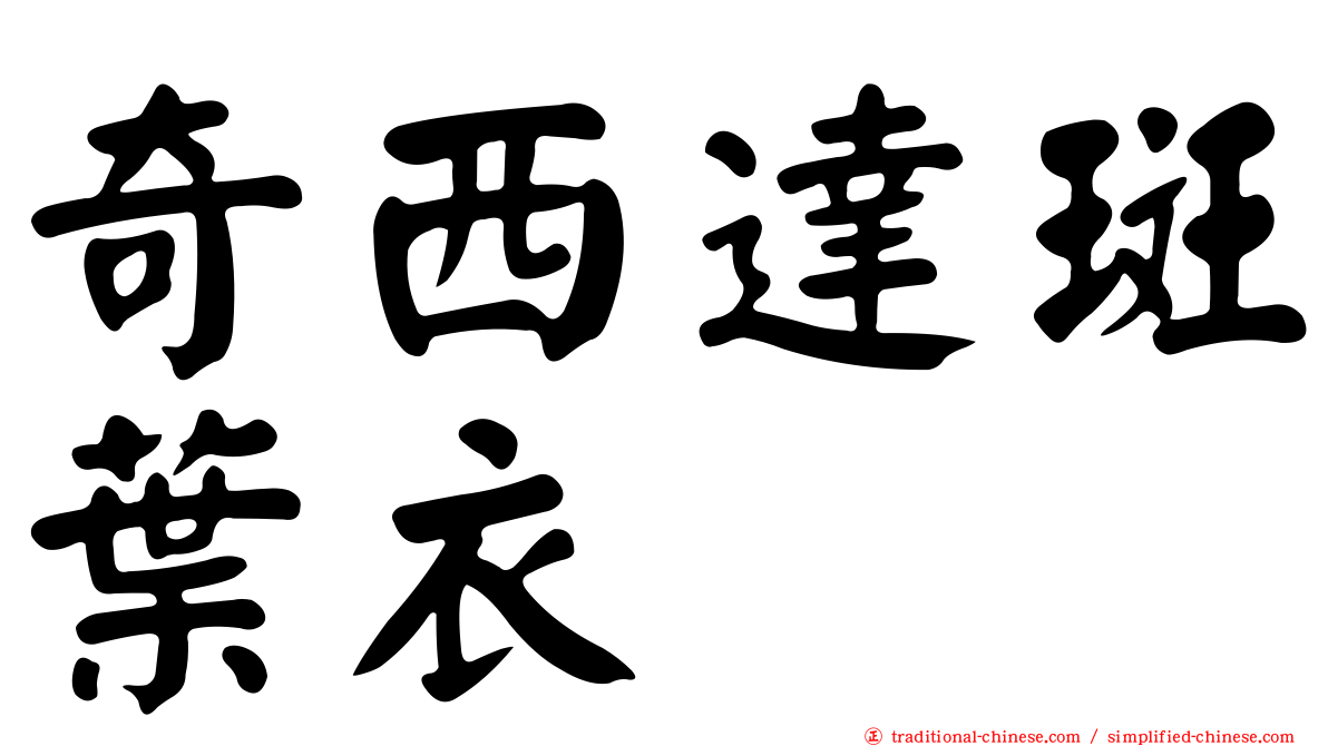 奇西達斑葉衣