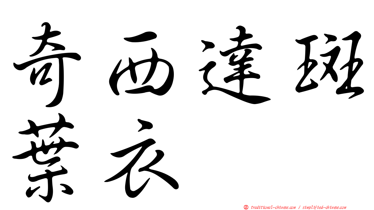 奇西達斑葉衣