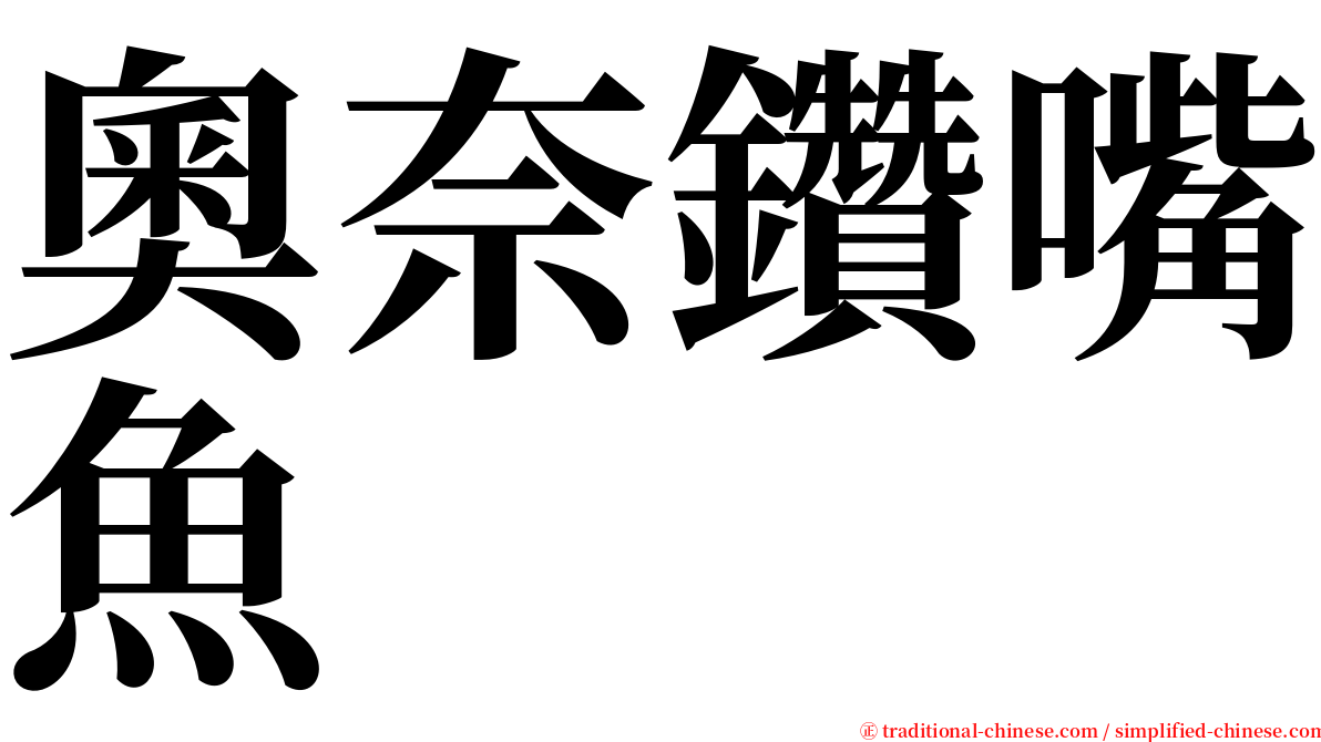 奧奈鑽嘴魚 serif font