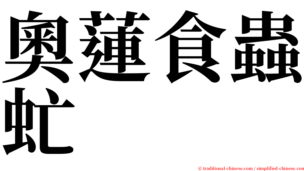 奧蓮食蟲虻 serif font