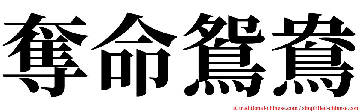 奪命鴛鴦 serif font