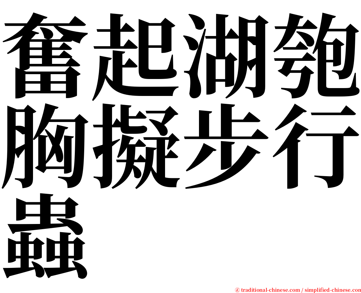 奮起湖匏胸擬步行蟲 serif font