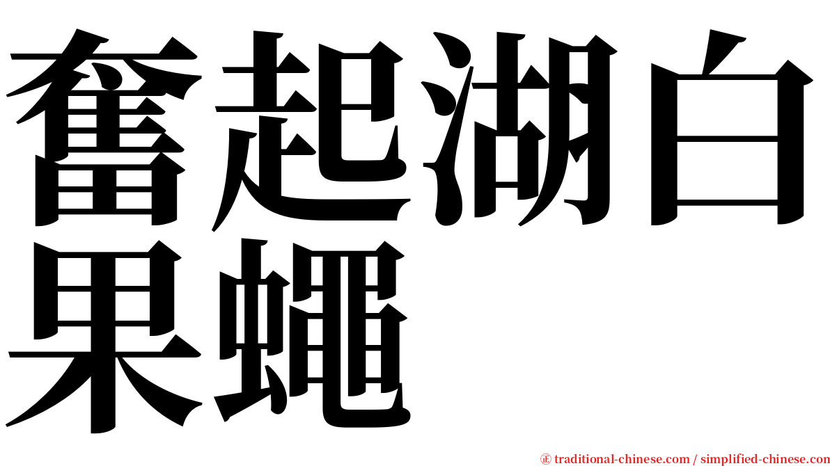 奮起湖白果蠅 serif font