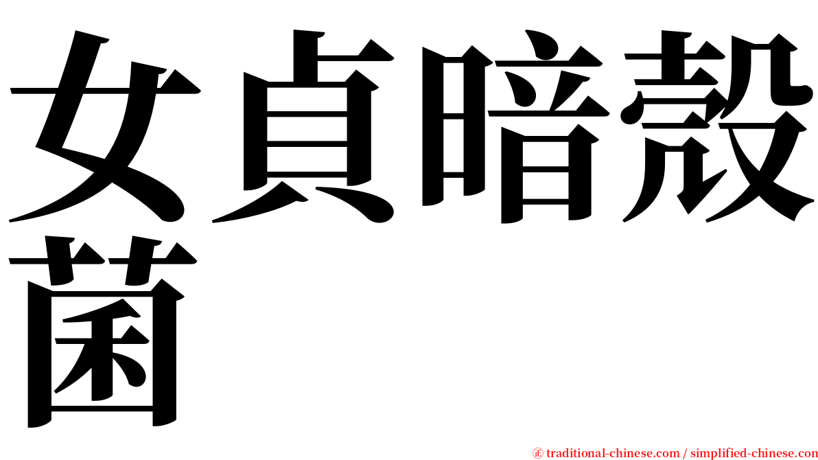 女貞暗殼菌 serif font