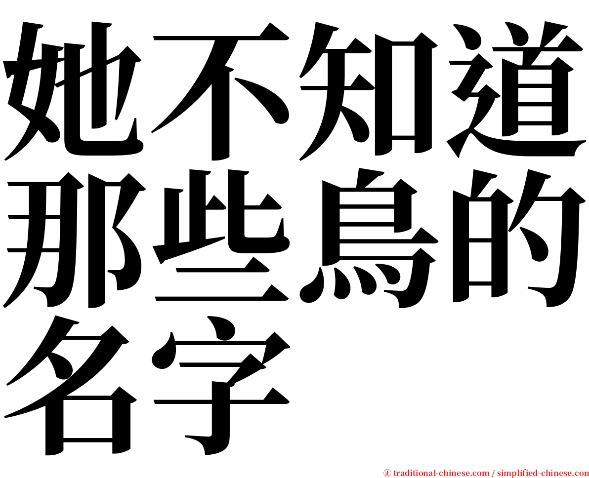 她不知道那些鳥的名字 serif font