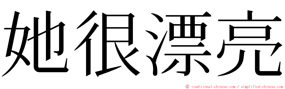 她很漂亮 ming font