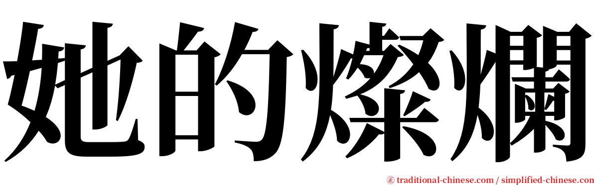 她的燦爛 serif font