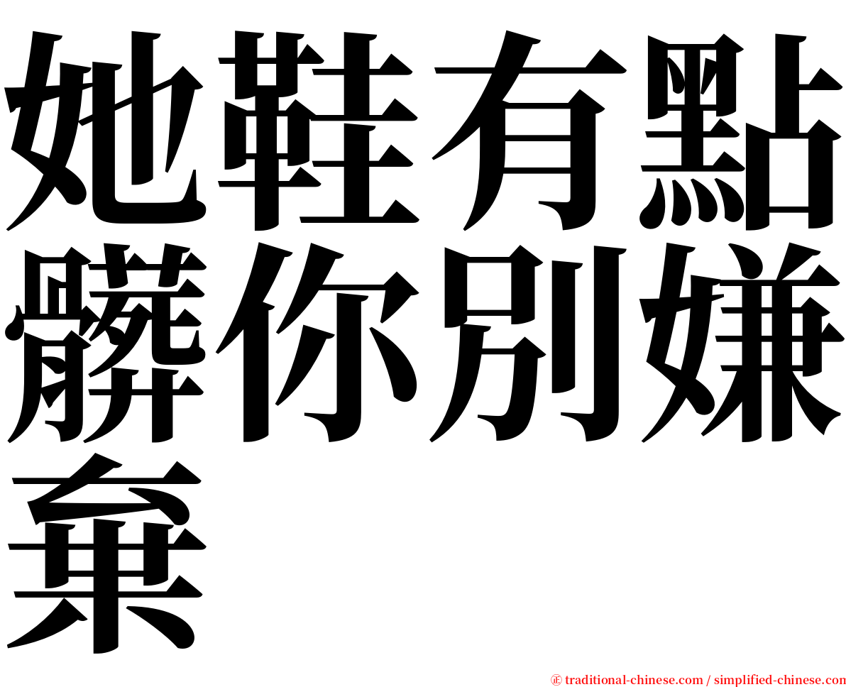 她鞋有點髒你別嫌棄 serif font