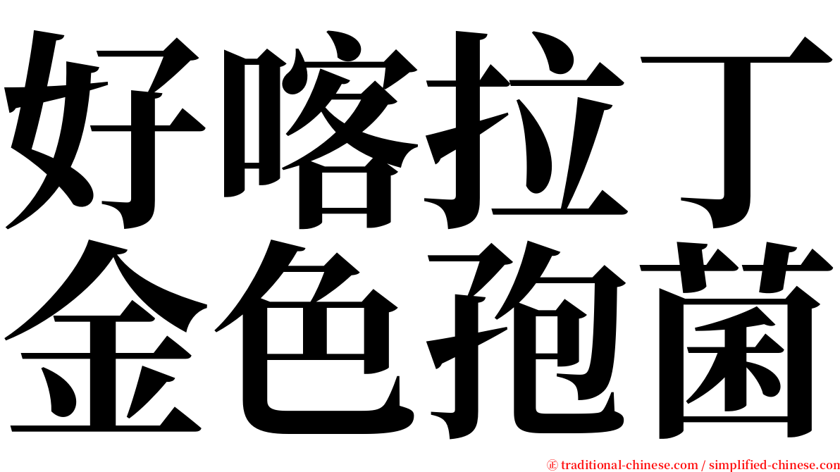 好喀拉丁金色孢菌 serif font