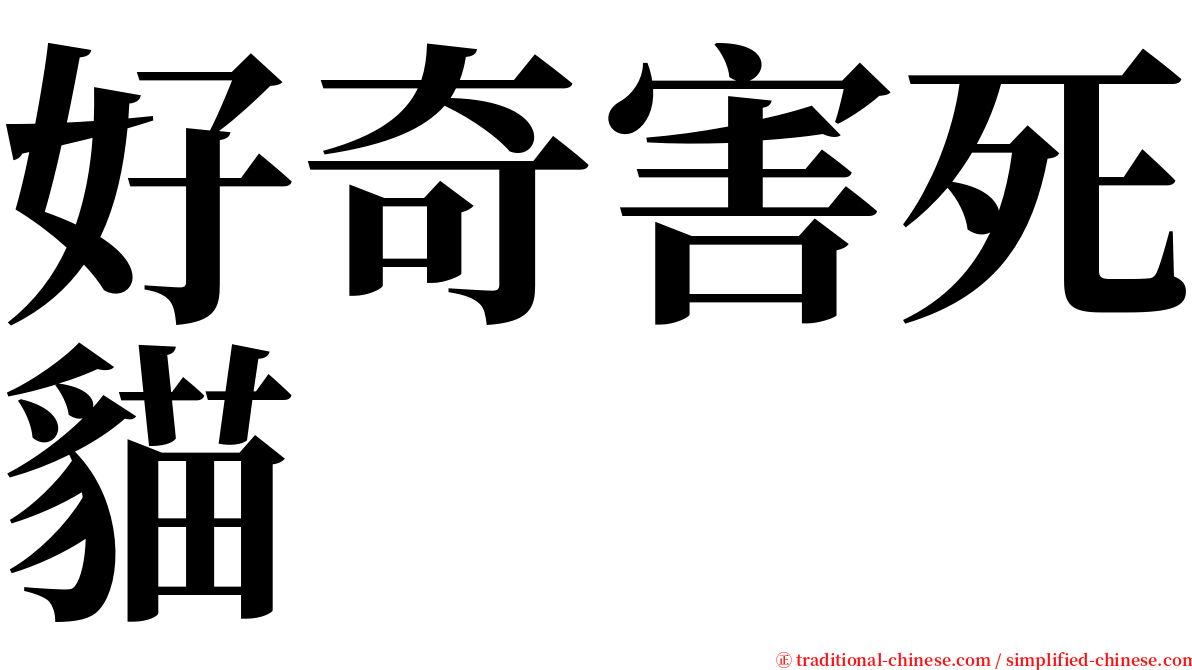 好奇害死貓 serif font