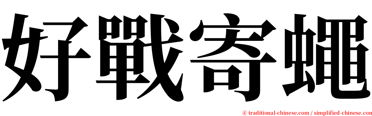 好戰寄蠅 serif font