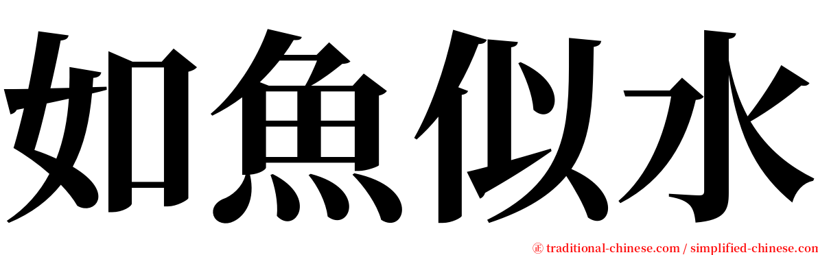 如魚似水 serif font