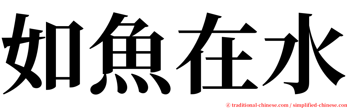 如魚在水 serif font