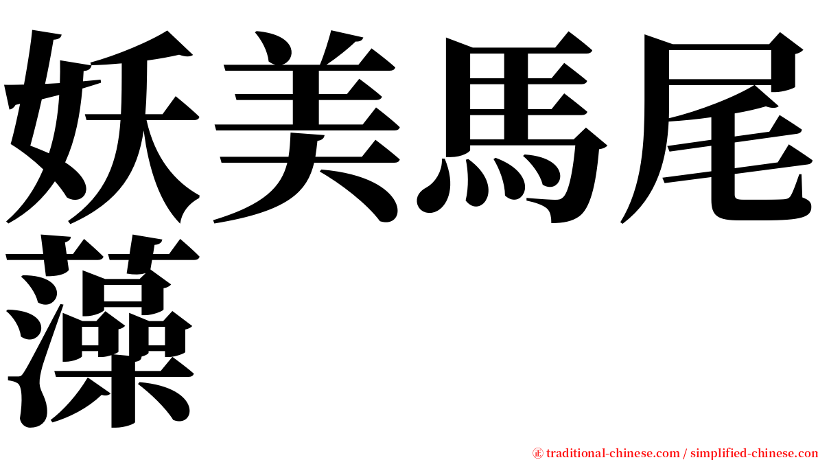 妖美馬尾藻 serif font