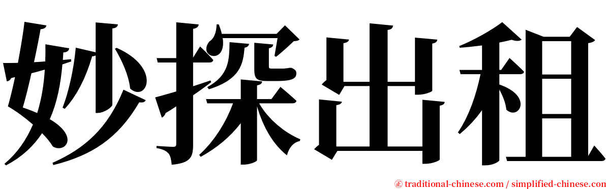 妙探出租 serif font