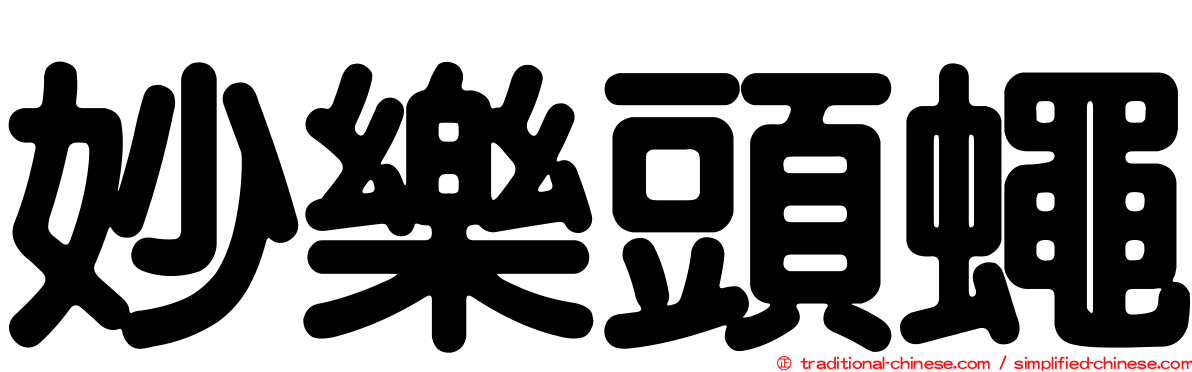 妙樂頭蠅