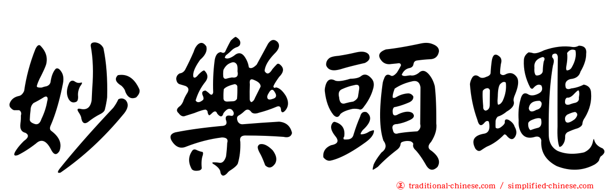 妙樂頭蠅