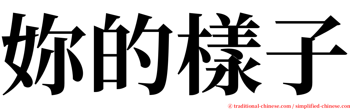 妳的樣子 serif font