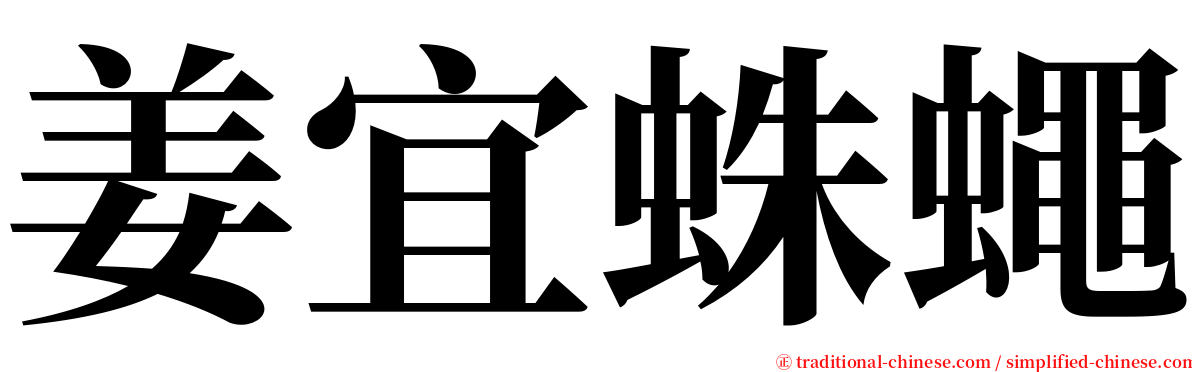 姜宜蛛蠅 serif font