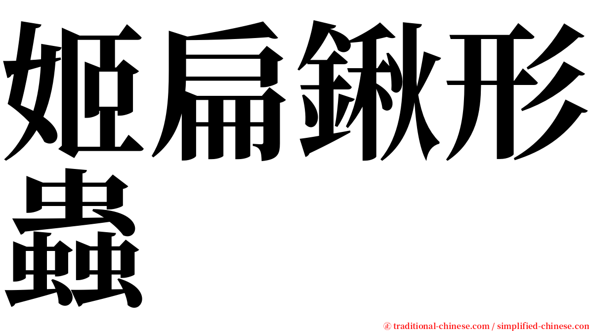 姬扁鍬形蟲 serif font