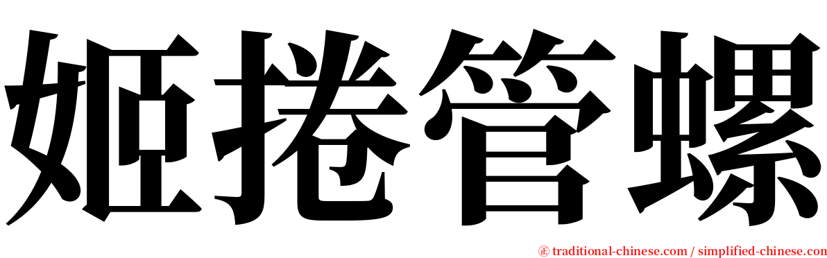 姬捲管螺 serif font