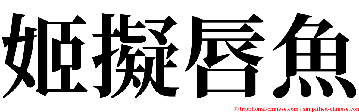 姬擬唇魚 serif font