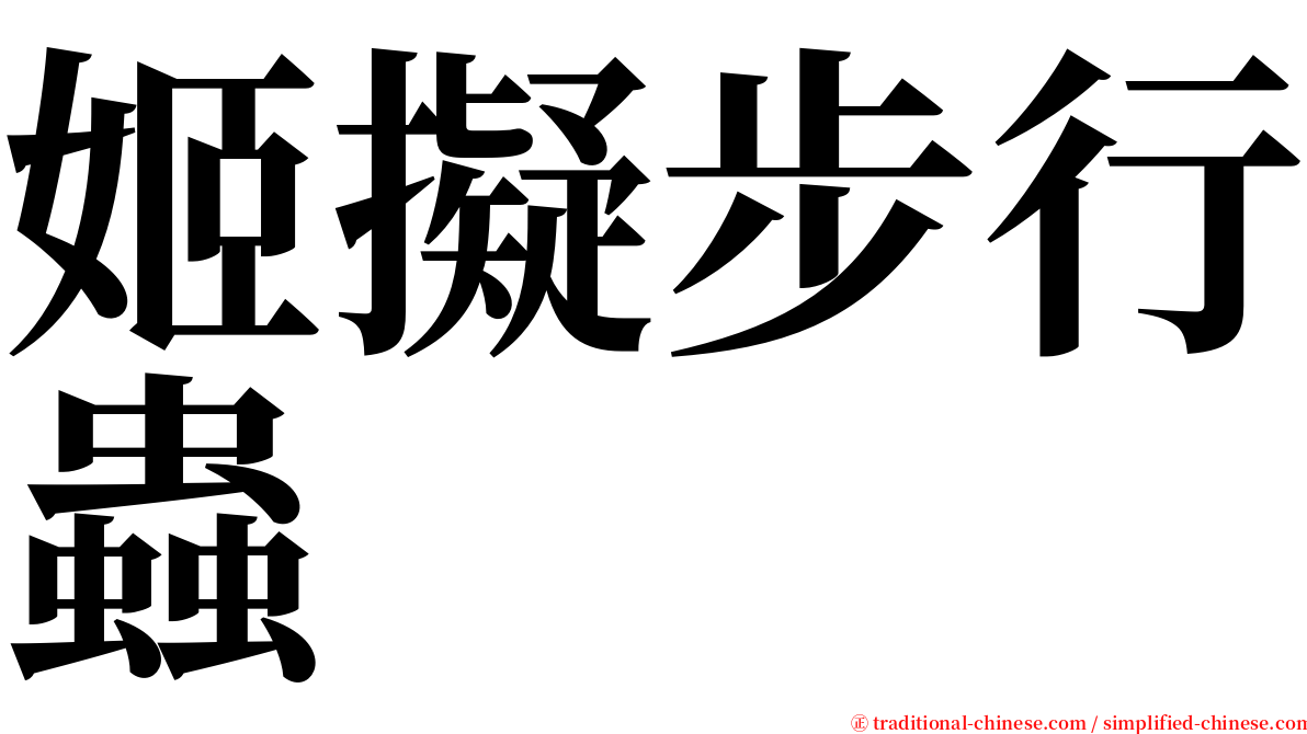 姬擬步行蟲 serif font