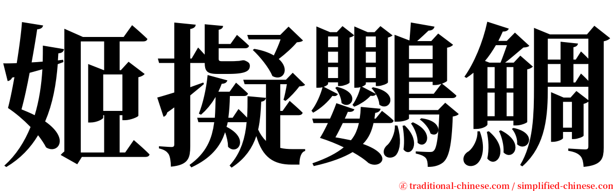 姬擬鸚鯛 serif font