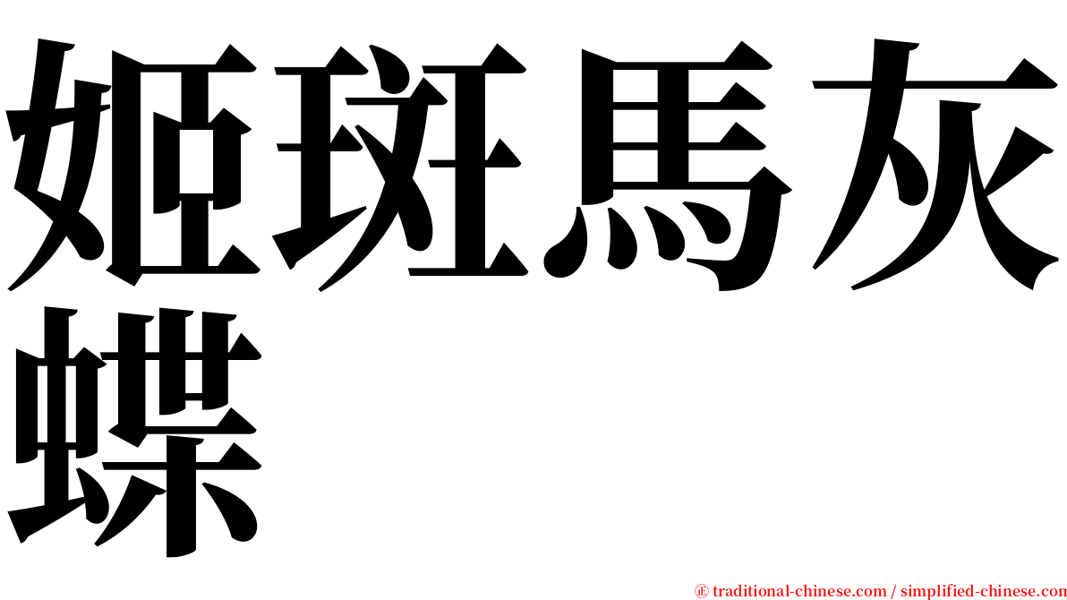 姬斑馬灰蝶 serif font