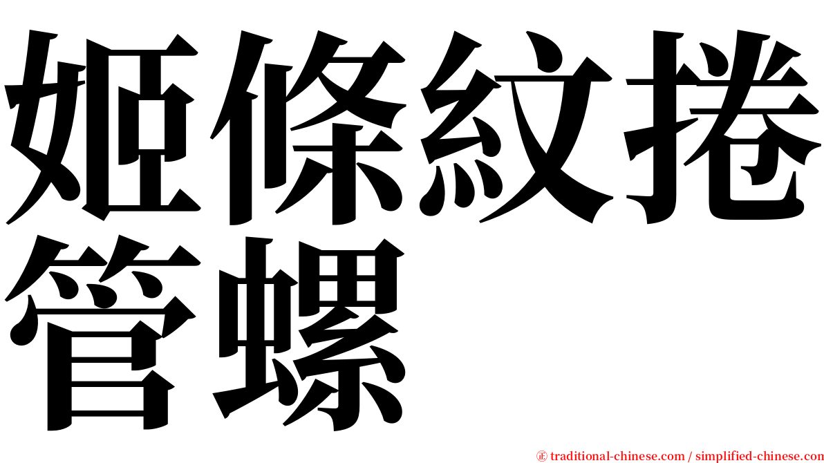 姬條紋捲管螺 serif font