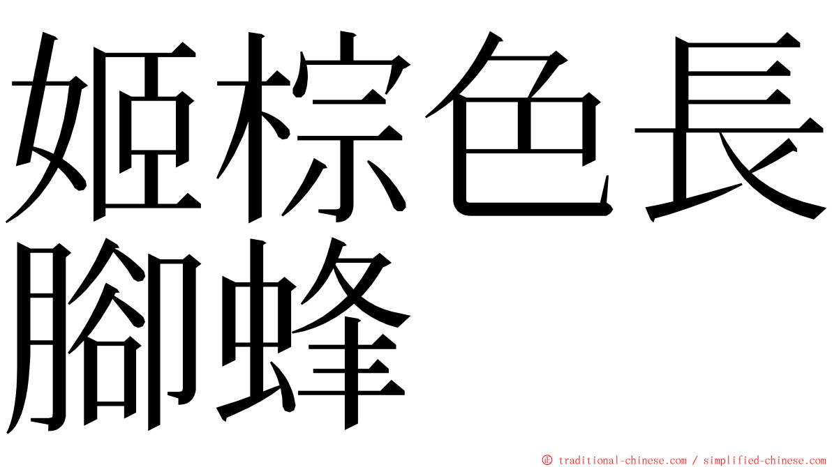 姬棕色長腳蜂 ming font