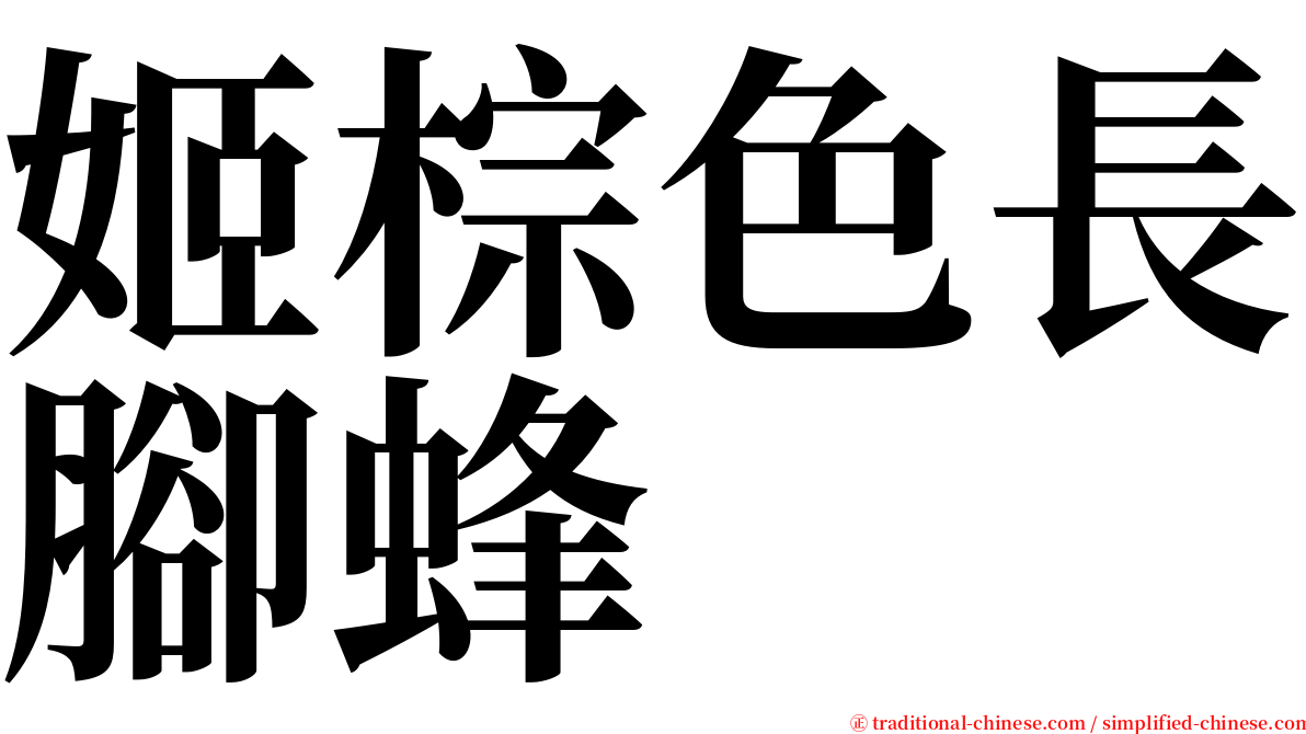 姬棕色長腳蜂 serif font