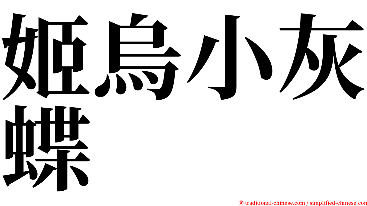 姬烏小灰蝶 serif font