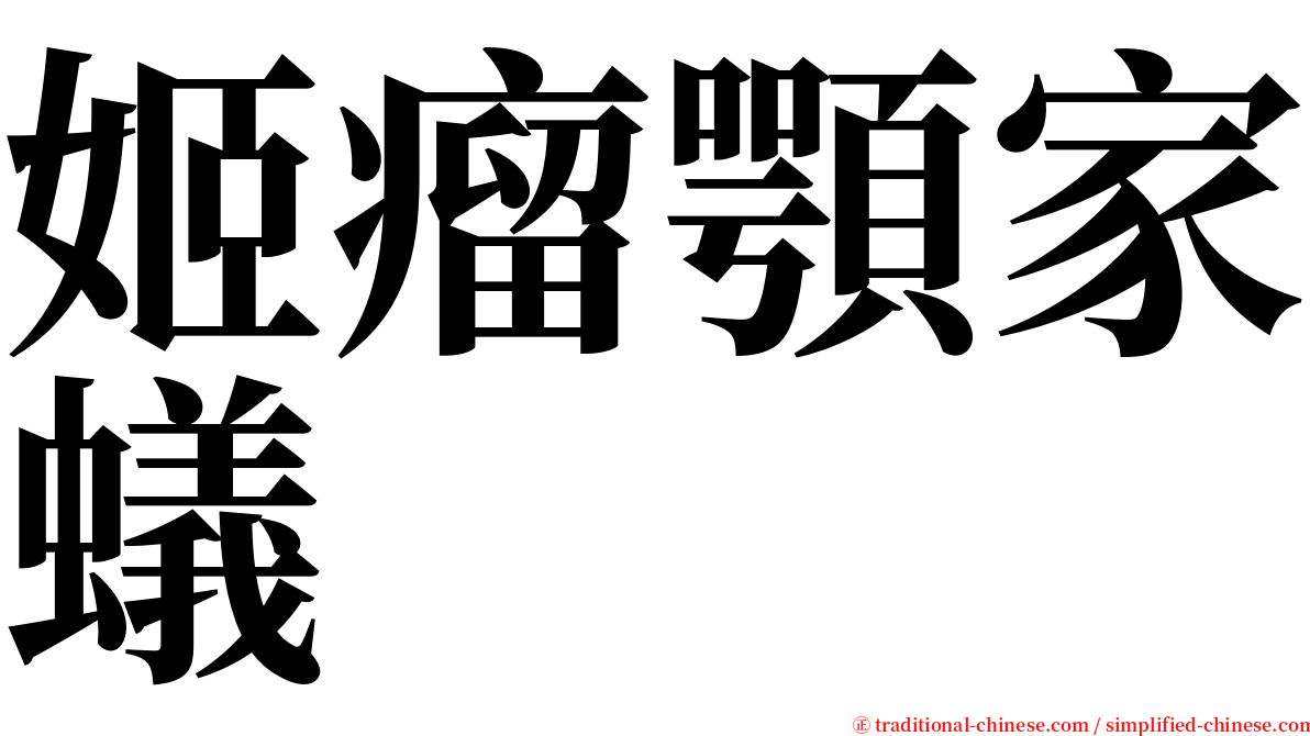 姬瘤顎家蟻 serif font