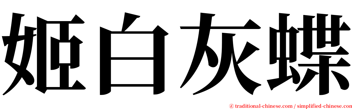 姬白灰蝶 serif font