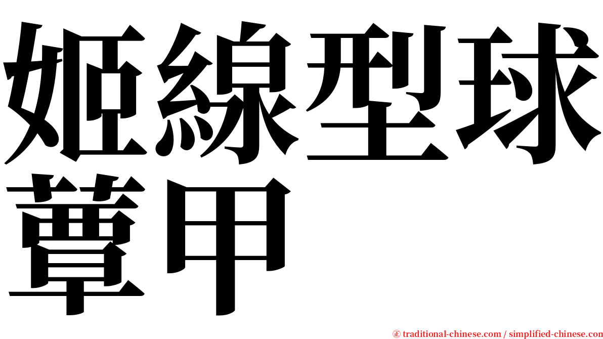 姬線型球蕈甲 serif font