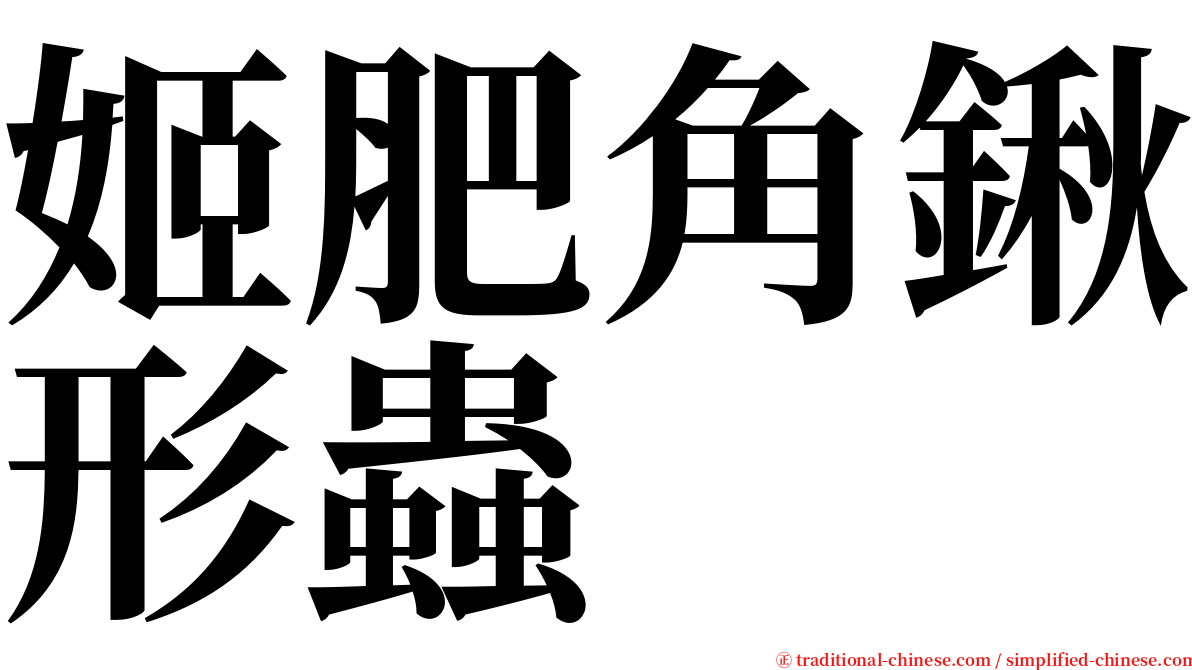 姬肥角鍬形蟲 serif font