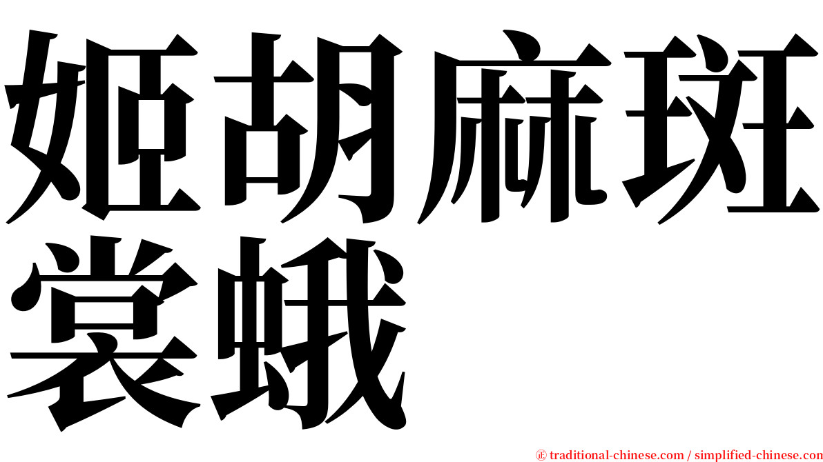 姬胡麻斑裳蛾 serif font