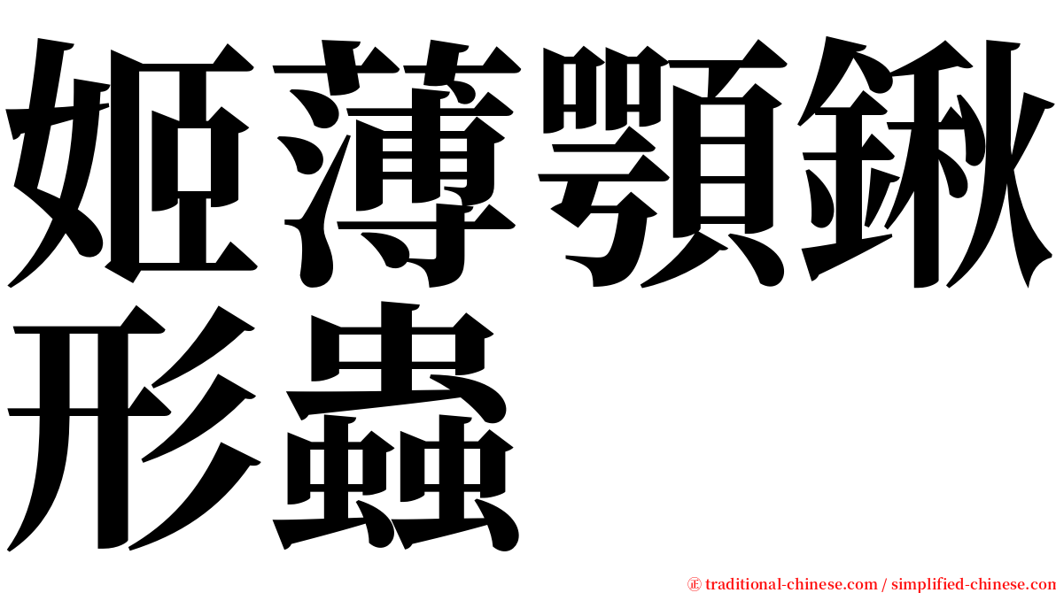 姬薄顎鍬形蟲 serif font