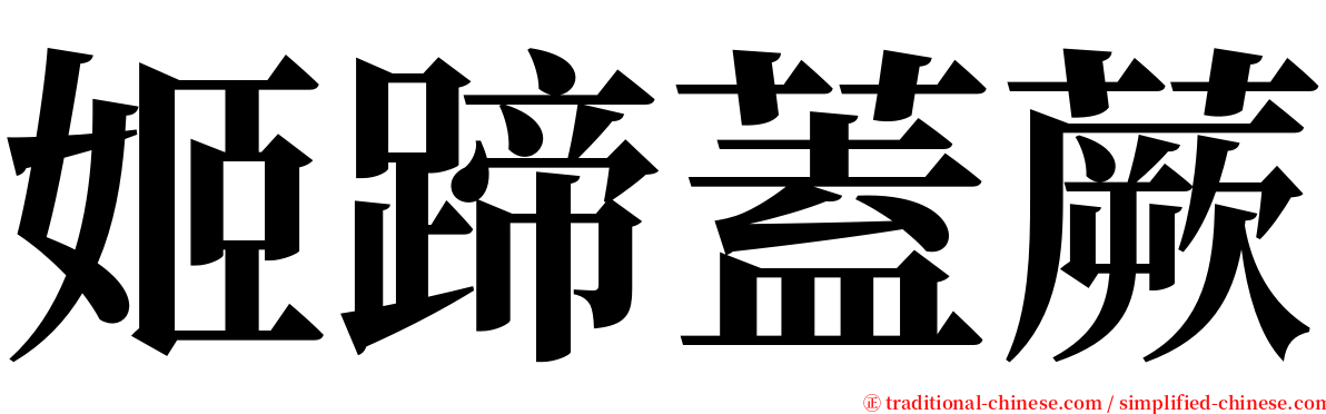 姬蹄蓋蕨 serif font