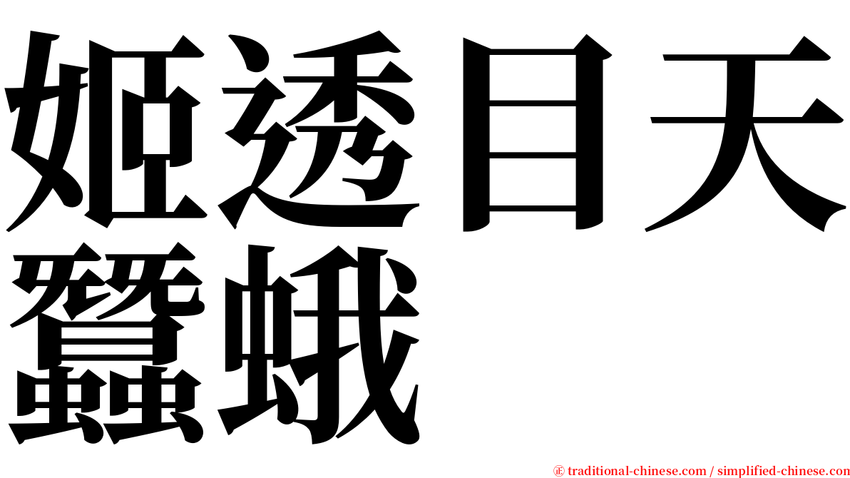 姬透目天蠶蛾 serif font