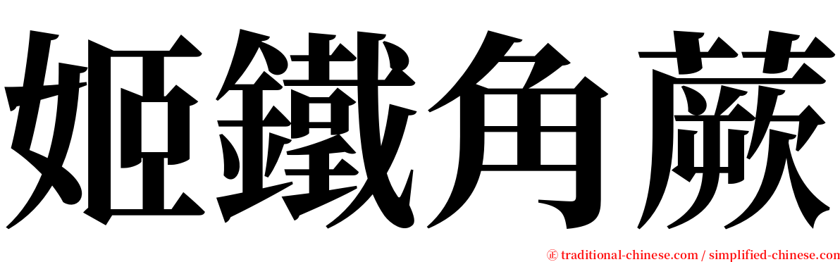 姬鐵角蕨 serif font