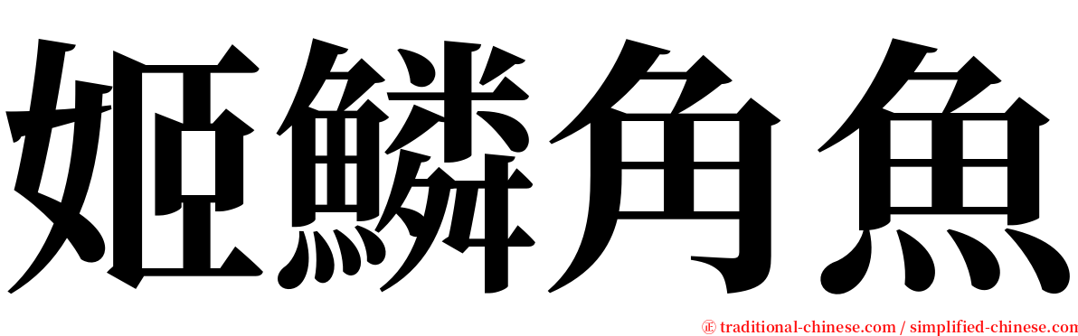 姬鱗角魚 serif font