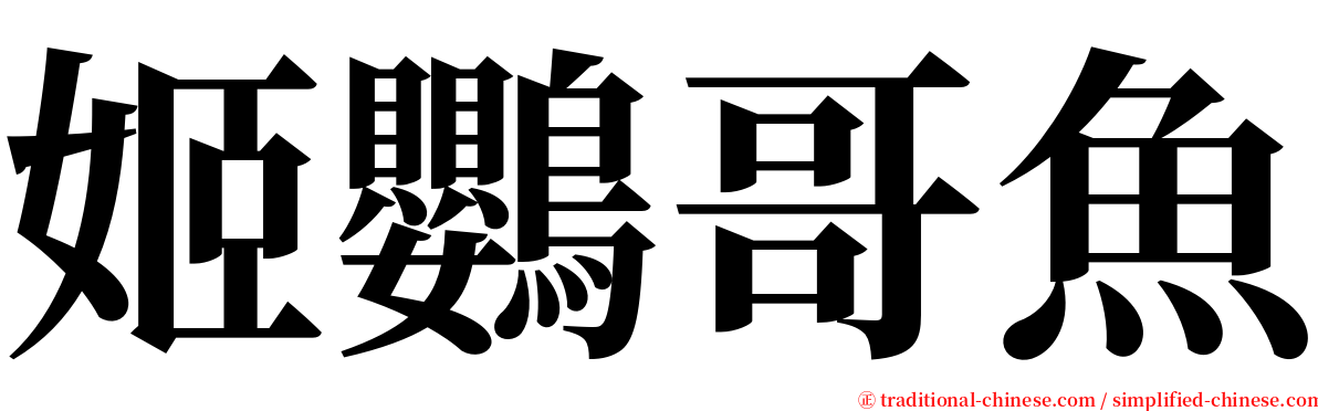 姬鸚哥魚 serif font