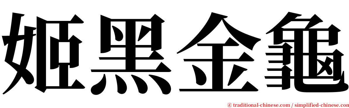 姬黑金龜 serif font
