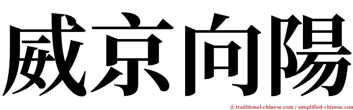 威京向陽 serif font