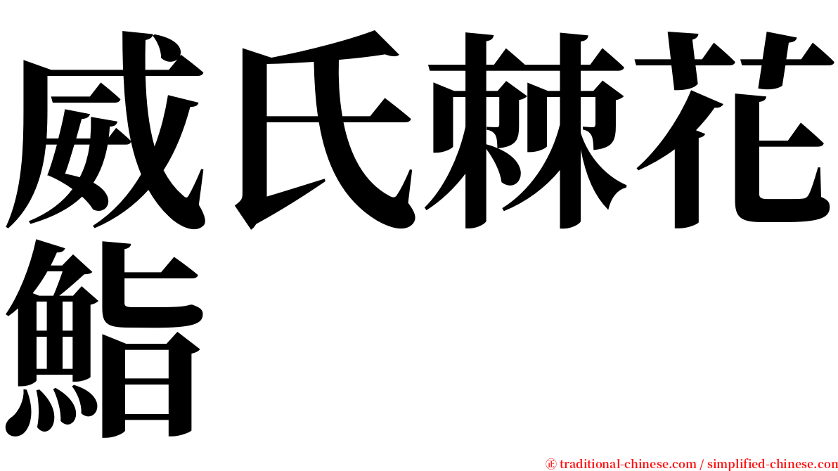 威氏棘花鮨 serif font