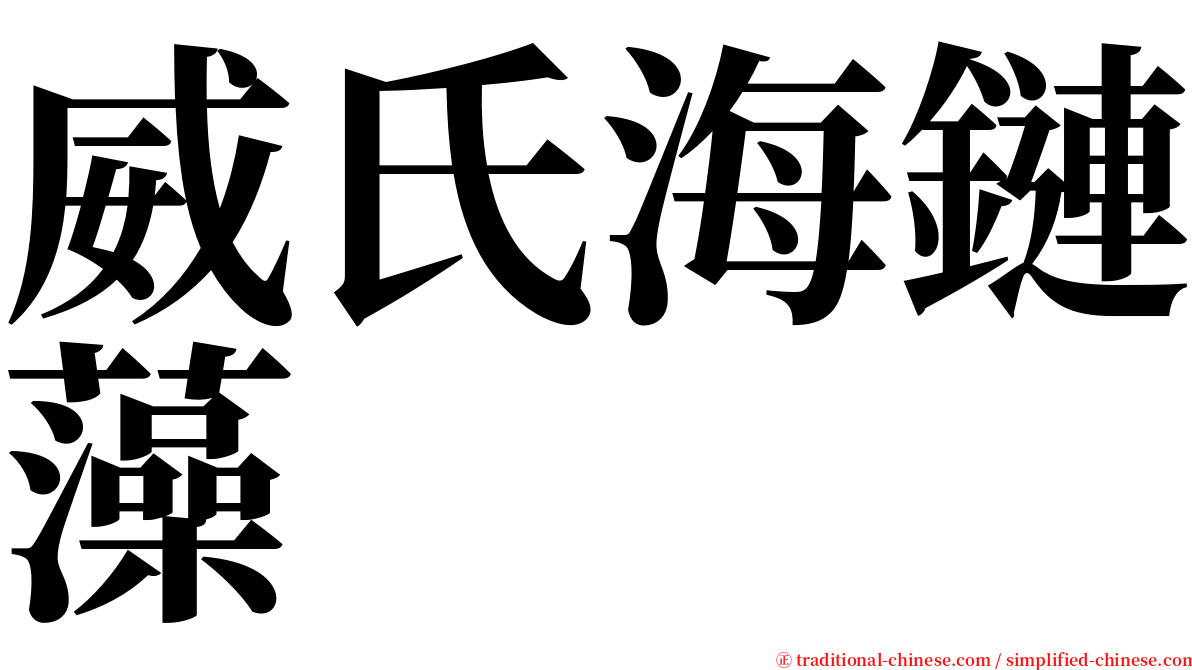 威氏海鏈藻 serif font