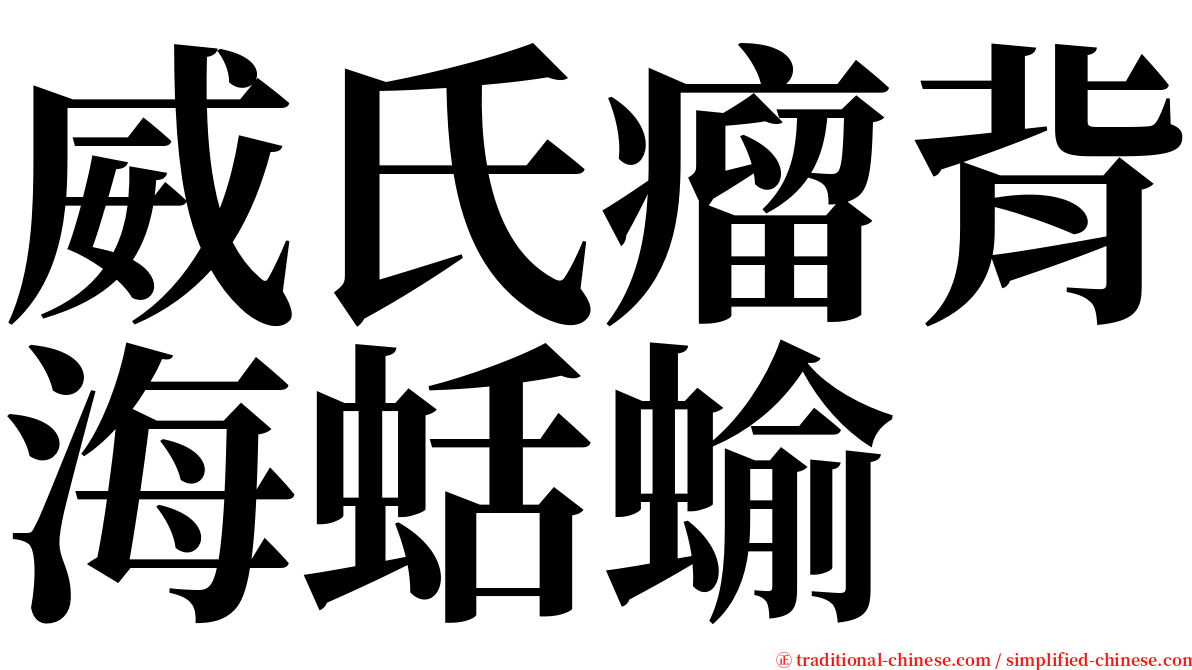 威氏瘤背海蛞蝓 serif font