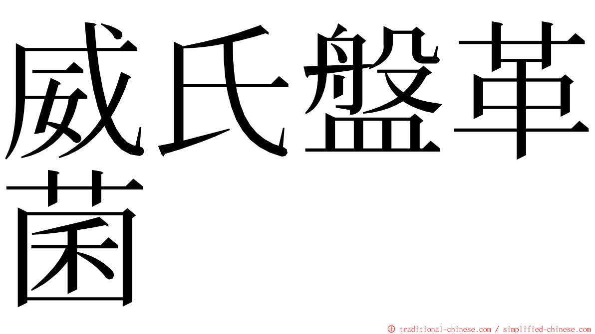 威氏盤革菌 ming font